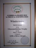 "Best Town" Winners Certificate - 2010